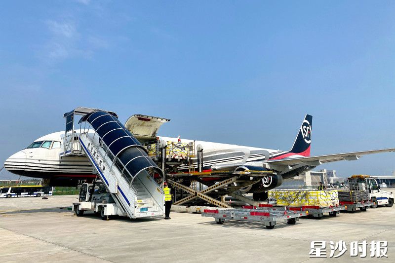 长沙自贸临空区现已吸引顺丰、邮政、圆通、中通、玉湖等头部物流企业入驻。图为顺丰货运飞机。均为长沙自贸临空区供图