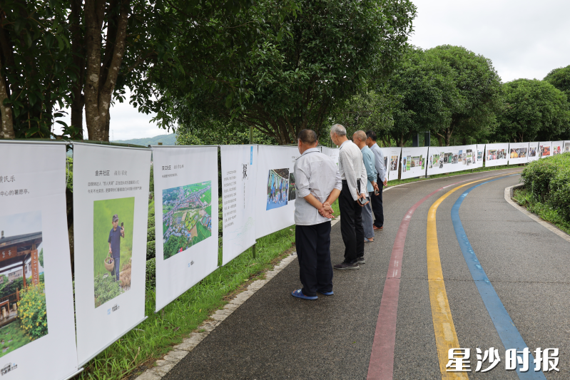 “湖南村IP计划”系列活动之“我回村里办影展”正式启动。160幅由长沙市摄影家协会精心拍摄的作品，在金井镇无声诉说着每一寸土地的故事。吴杰 摄