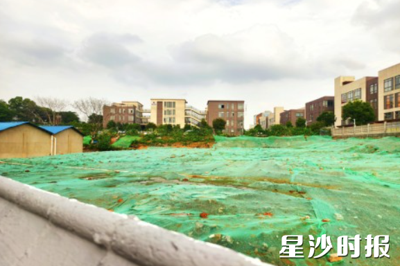 闲置地整治完成后，已全部覆绿。均为街道供图