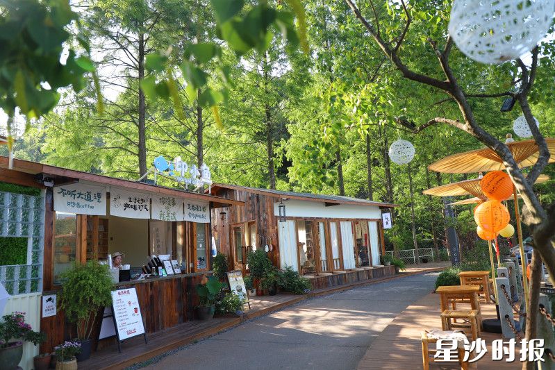 图为印山村天玺湖边的“印小鱼”茶咖馆。