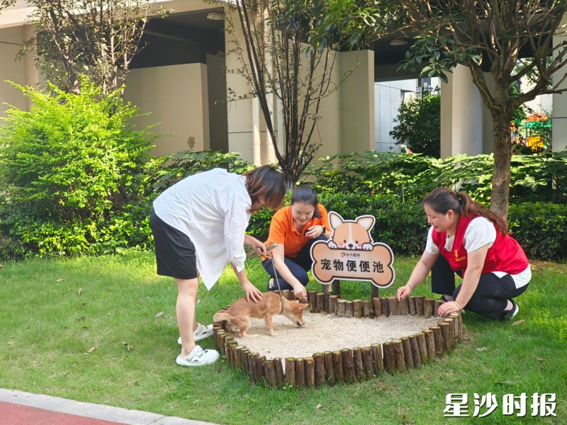 㮾梨街道红树坡社区在网格小区内增设“宠物便便池”。通讯员供图