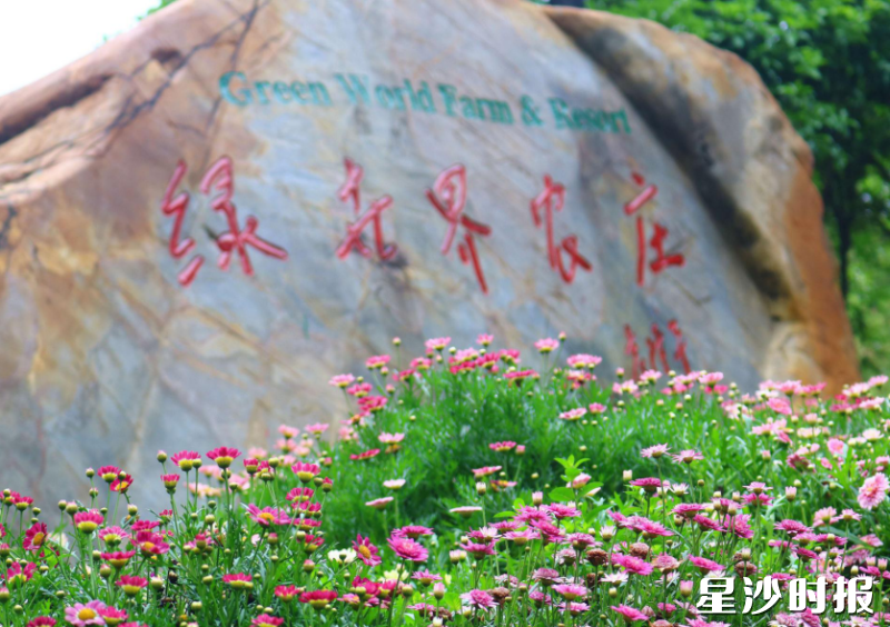 绿世界生态艺术农庄位于长沙县黄兴镇黄兴新村，是集餐饮娱乐、度假休闲、亲子研学、生态采摘等于一体的大型休闲庄园。均为黄兴镇供图