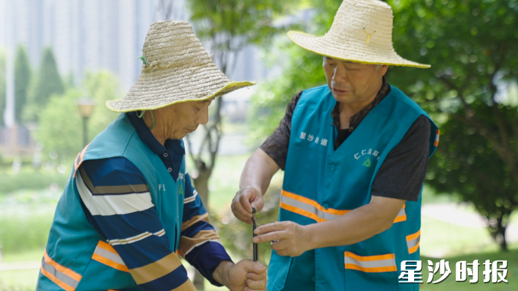 望仙公园内，张海军正在安装新型微喷管。