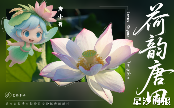 图为“唐小荷”IP形象。
