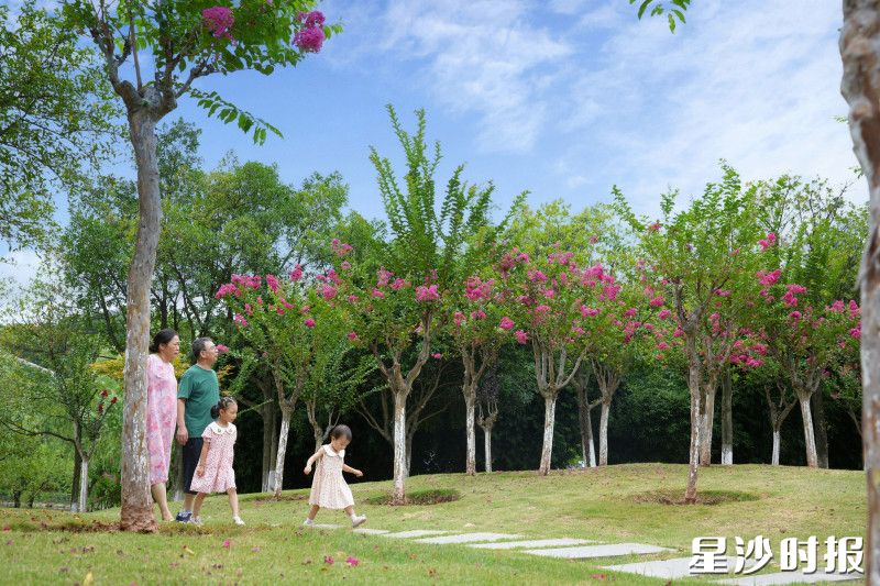 住在公园附近的陈嗲嗲牵着两个蹦蹦跳跳的小孙女，慢悠悠地走在花径上。