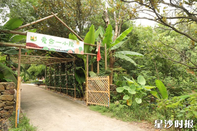 唐田新村的“爱合一”小院。均为阮霖浩 摄