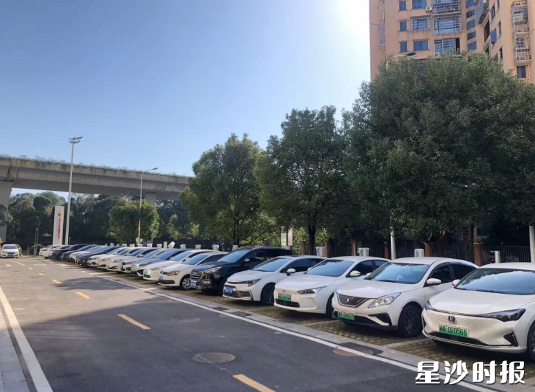 黄之花商贸有限公司通过停车、餐饮、充电和延伸服务产生的费用获得盈利，收益由全镇13个村集体共享。