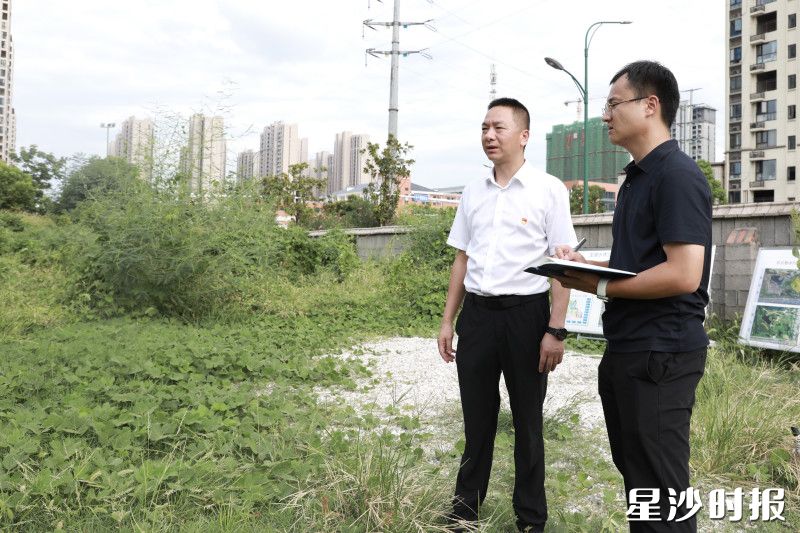 童浜开展改善生态环境专项民主监督。均为周汝洁 摄