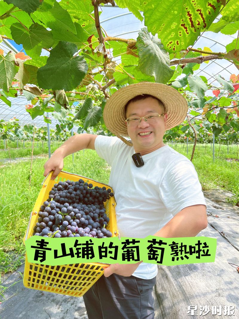 长沙县供销社联合“星沙甄选”平台开展专场直播活动。图为直播推广海报。星沙甄选供图