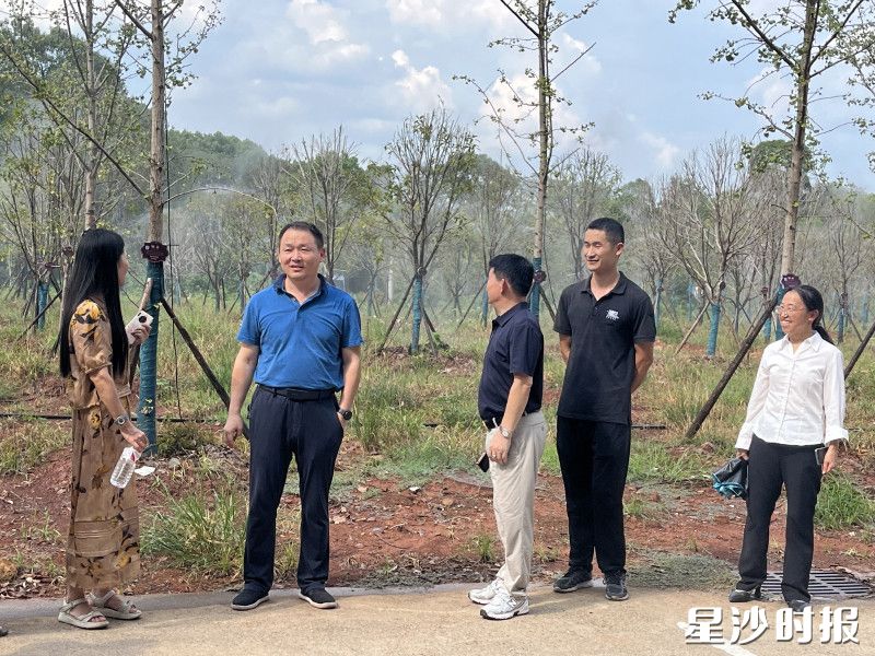 长龙街道政协委员小组开展2025年第三季度生态环境专项民主监督活动。 街道供图