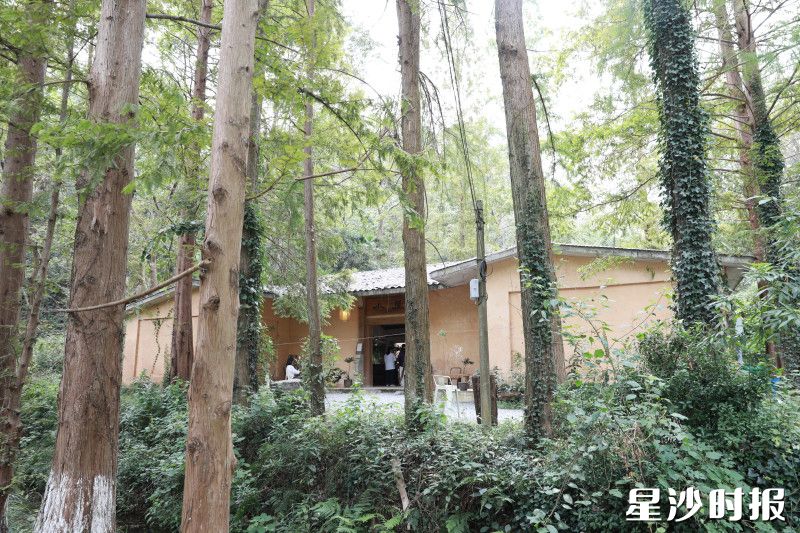 掩映在绿荫之中的森林小屋。周汝洁 摄 掩映在绿荫之中的森林小屋。周汝洁 摄