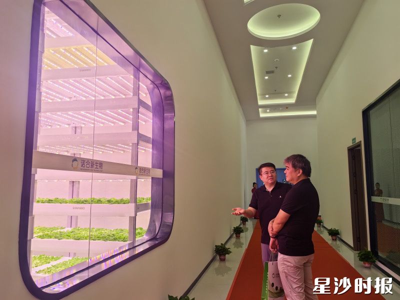 长沙诺合新生物科技有限公司工作人员介绍植物工厂。李丹 摄