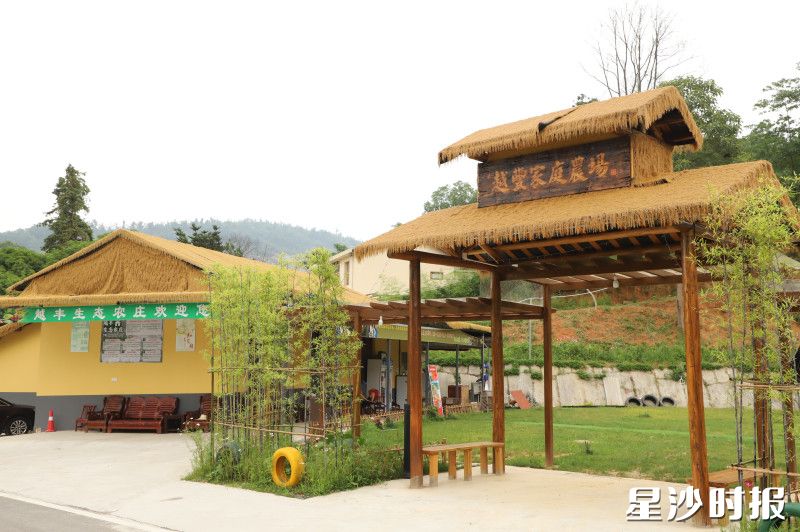 在越丰生态农场，既能体验农事，又能吃到新鲜食材。阮霖浩 摄