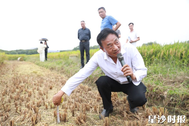 湖南星光碧野农业机械有限公司技术负责人在介绍产品相关性能。