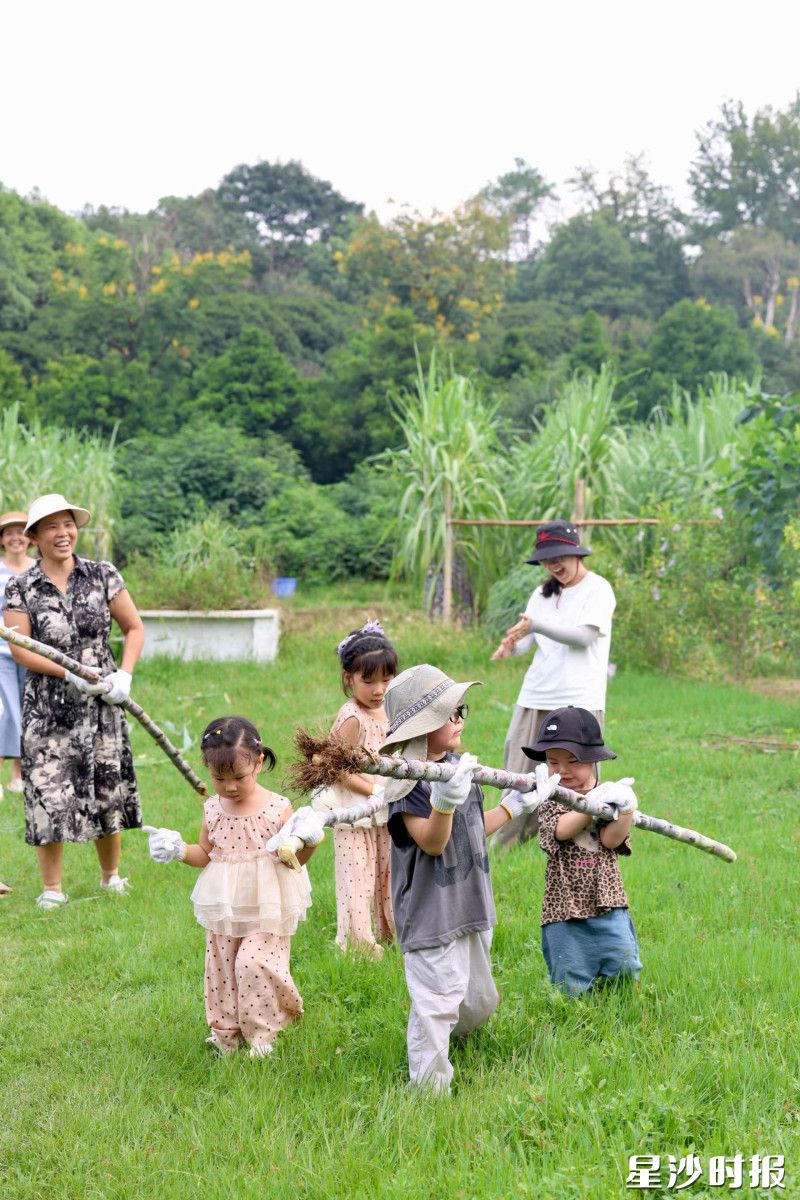 黄花镇朴愿有机农场，孩童们抱着刚拔出的甘蔗。均为黄花镇供图