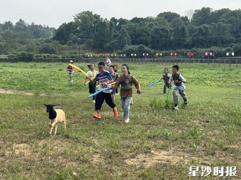 孩子们在黄花镇犇奔岛乐园开心地玩耍。