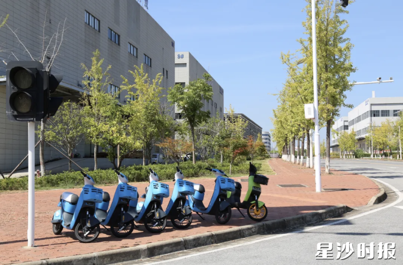 长沙黄花综合保税区内,共享单车有序停放。李丹 摄 长沙黄花综合保税区内,共享单车有序停放。李丹 摄