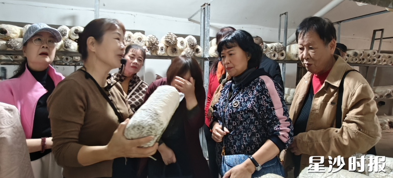 老同志们走进蘑菇小镇培育基地,实地参观各类菌菇的科学培育过程。均为县交通运输局供图