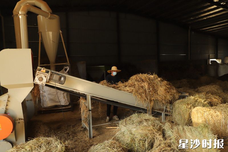 工人正对回收的秸秆进行粗加工。