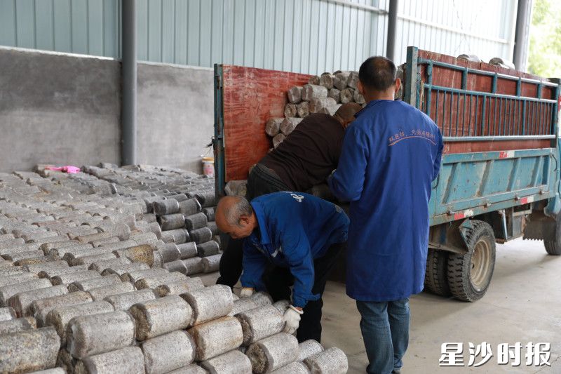 工作人员将菌包装车，准备送往周边的村民家中。均为周汝洁 摄