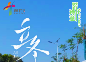 诗意繁花·二十四节气丨立冬：冬始万物藏，暖意入寻常