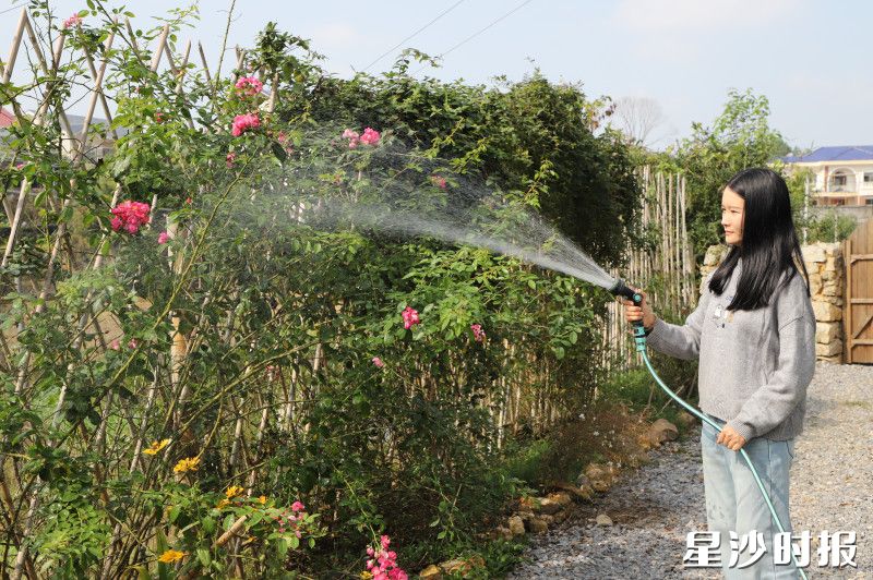 何静正给小院的花草浇水。