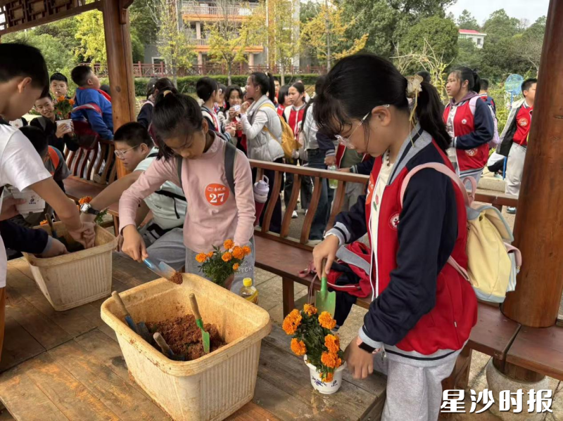 研学现场。均为黄兴镇供图