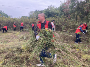 先锋繁花丨党建红赋能志愿蓝，上下联动铲除“生态杀手”