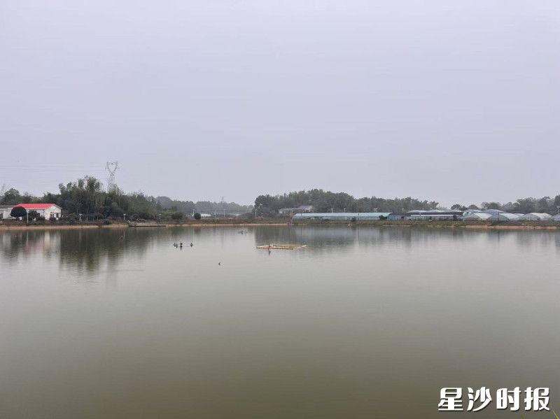 “贤塘钓鱼”鱼塘。 “贤塘钓鱼”鱼塘。