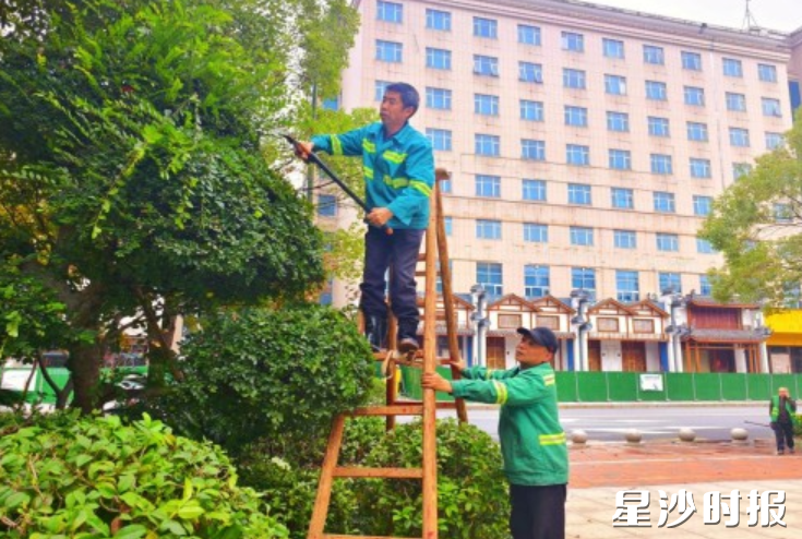 工作人员在小塘路修剪树枝。均为街道供图