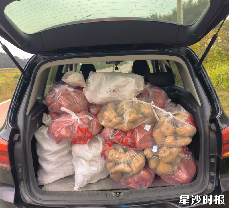 王国华的私家车成了“爱心快递车”，后备箱里装满带着泥土芬芳的蜜薯。安沙镇供图