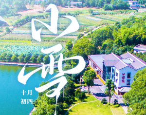 诗意繁花·二十四节气丨小雪：雪落初寒至，烟火暖人心