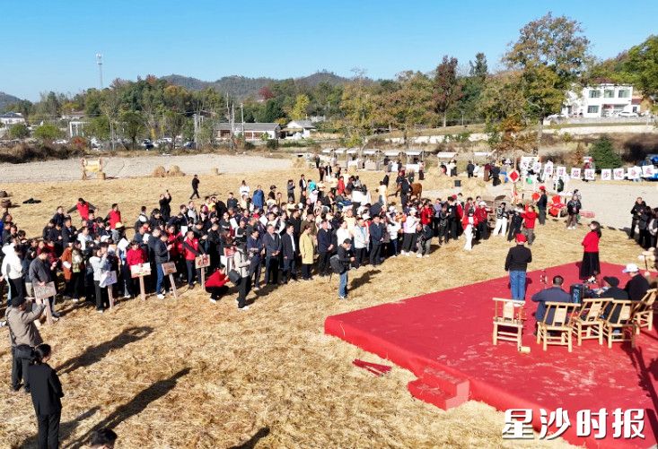 青山铺镇首届丰收活动，吸引了众多村民群众参与，现场氛围热烈。青山铺镇供图
