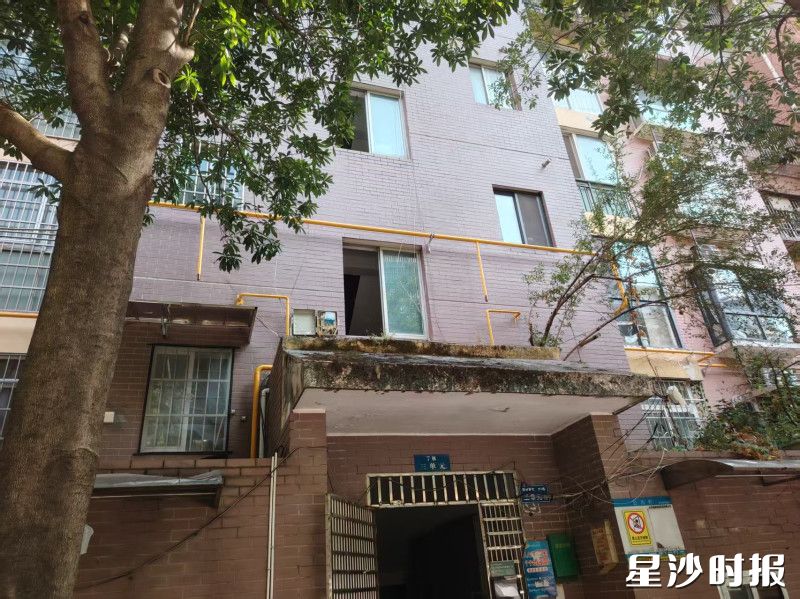 长沙县四季星城小区燃气管网改造后现状。长沙县城管局供图