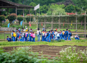 诗意繁花·二十四节气丨大雪：雪覆万物寂，暖意在寻常