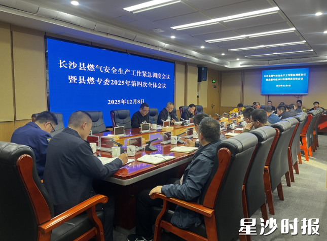 会议现场。杨欣雨 摄