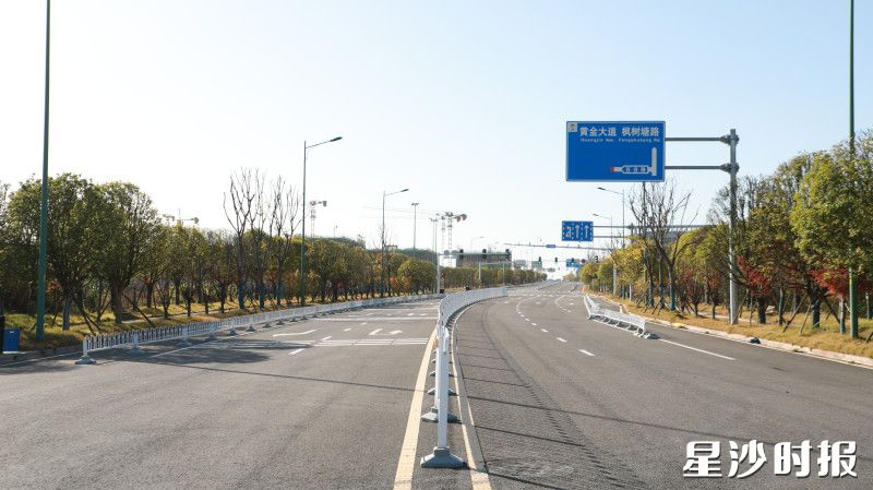 道路两侧新栽种的绿植整齐划一。