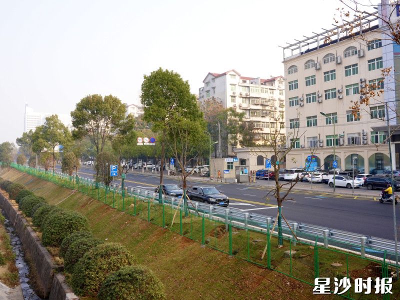 边坡修缮后,其内绿草茵茵,为冬日增添了勃勃生机。 边坡修缮后,其内绿草茵茵,为冬日增添了勃勃生机。