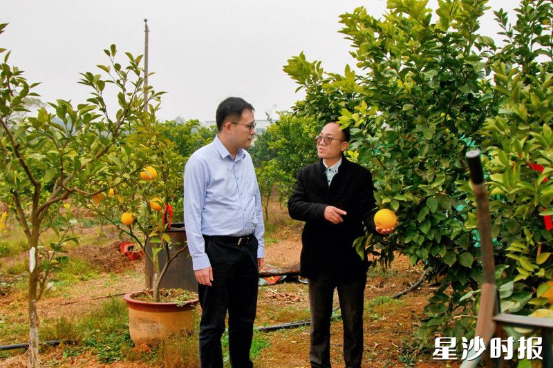 星沙农商银行工作人员与种植户交谈资金需求情况。史钰晗 摄