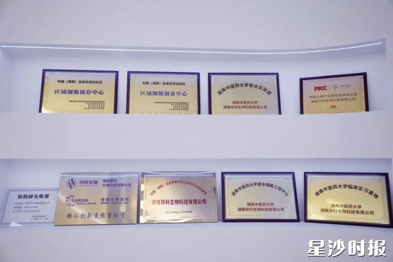 入驻园区后，企业获得不少资质。艾哲文 摄