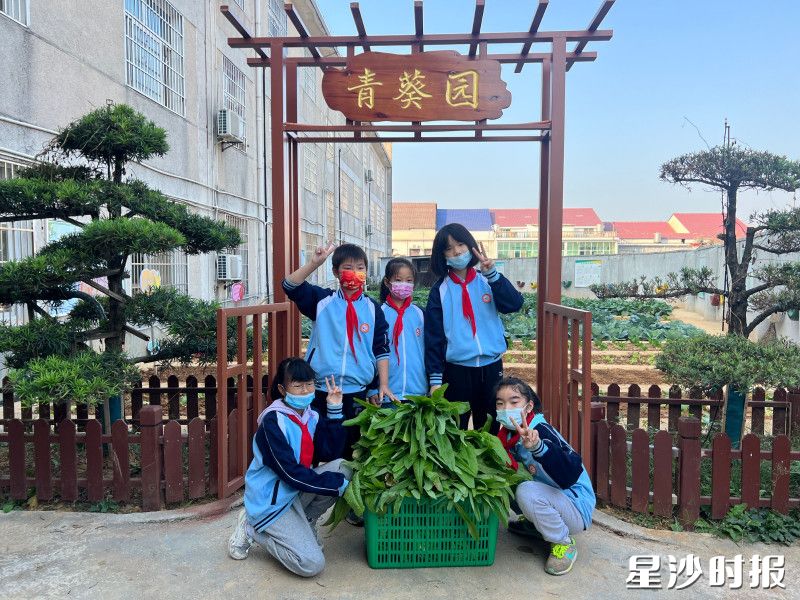 江背镇中心小学开展劳动教育，学生在青葵园采摘蔬菜。江背镇中心小学供图