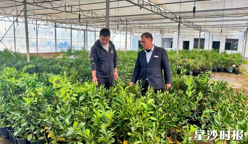 星沙农商银行金融专员上门与企业负责人交流。星沙农商银行供图