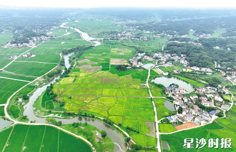 麻林河洪河段获评省级幸福河湖。青山铺镇供图