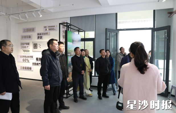 调研现场。周汝洁 摄