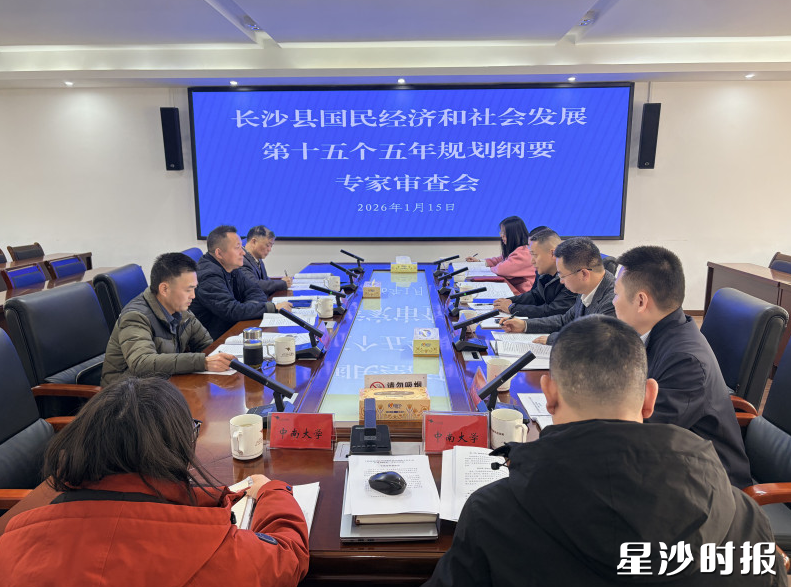 会议现场。李依露 摄