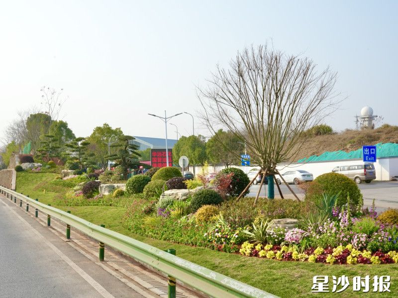 图为机场高速沿线景观带。均为杨欣雨 摄