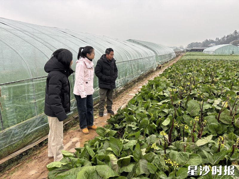 农技专家现场指导种植户。县农业农村局供图