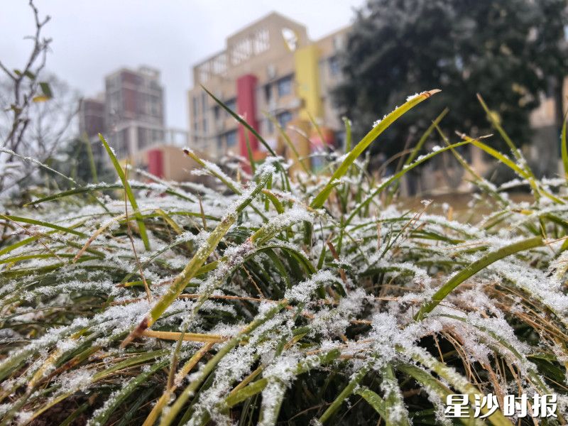 图为长沙市华夏学校，校园覆盖了一层薄薄地雪花。