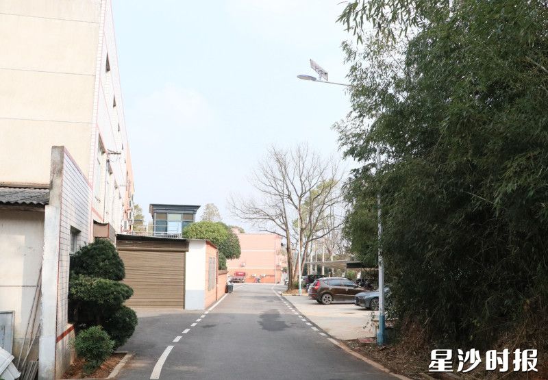 湖南中飞幕墙有限公司党支部为长龙街道湘峰村捐赠20盏太阳能路灯。 林畅 摄