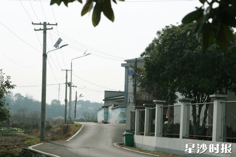 长龙街道湘峰村西数组的村道上,20盏崭新的太阳能路灯为村民照亮回家路。 林畅 摄